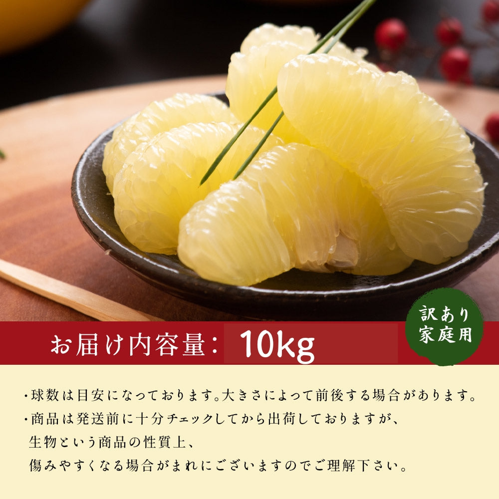 小松さんの減農薬 土佐文旦 約10kg 家庭用 訳あり