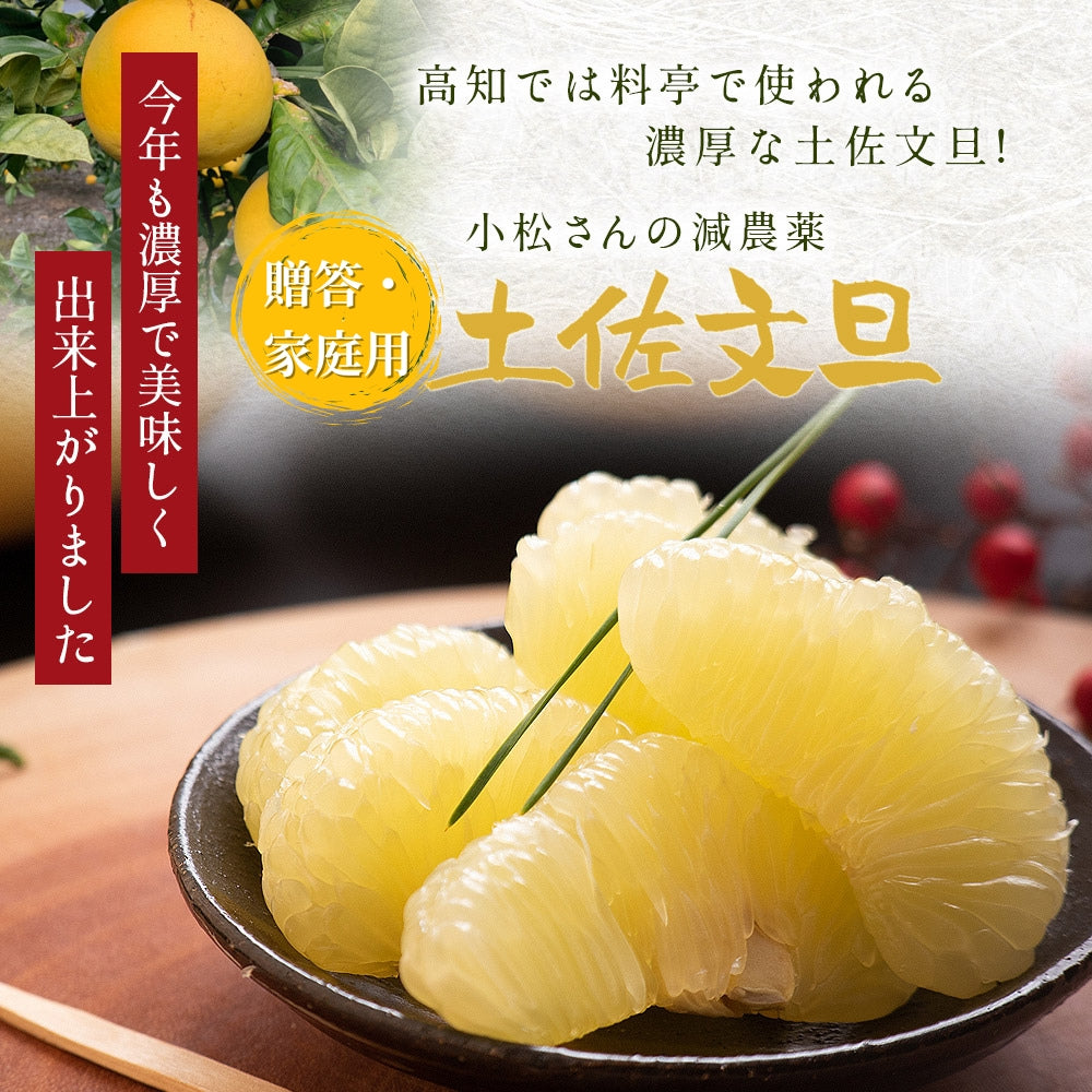 小松さんの減農薬 土佐文旦 約3kg 贈答・家庭用