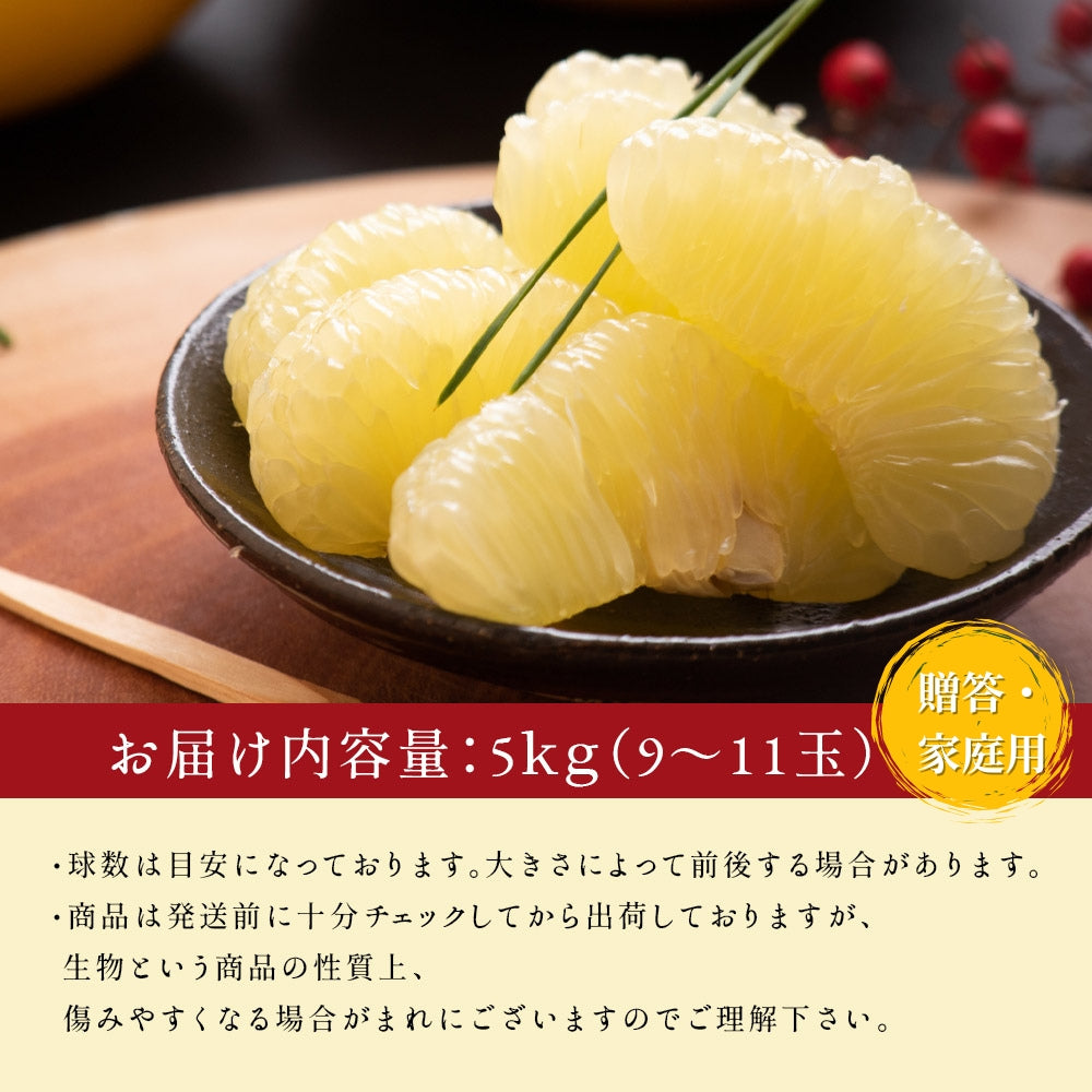 小松さんの減農薬 土佐文旦 約5kg 贈答・家庭用