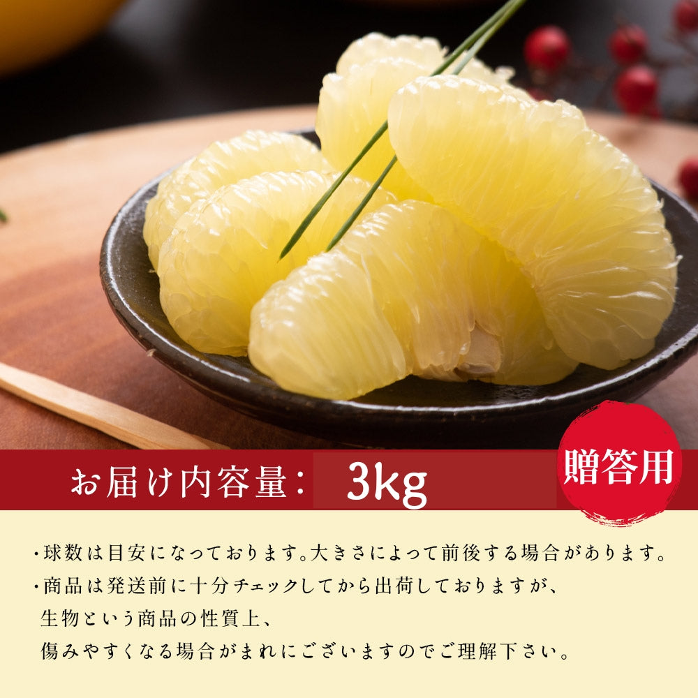 小松さんの減農薬 土佐文旦 約3kg 贈答用
