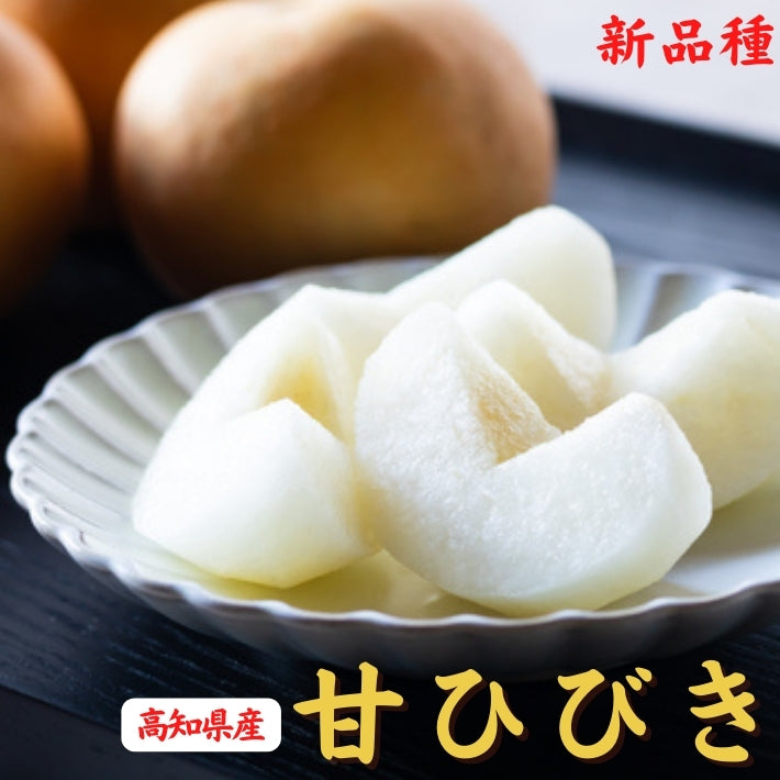 【今期完売】甘ひびき 梨 高知県針木産 産地直送品