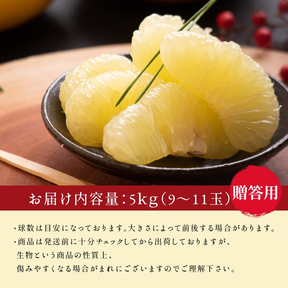 小松さんの減農薬 土佐文旦 約5kg 贈答用