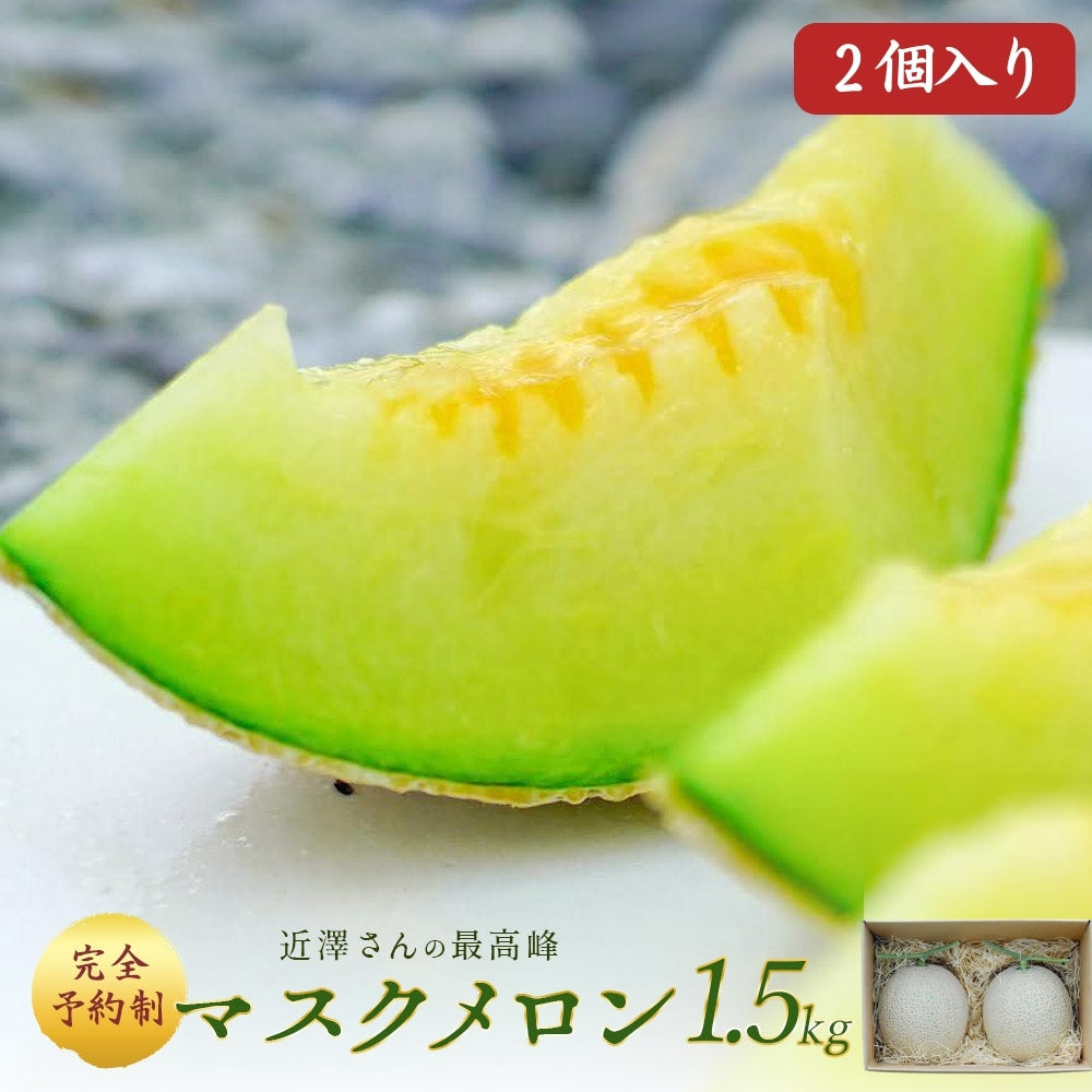 【11月下旬発送予約】 メロン 近澤さんのとろけるマスクメロン 2玉 高知県産 ギフト