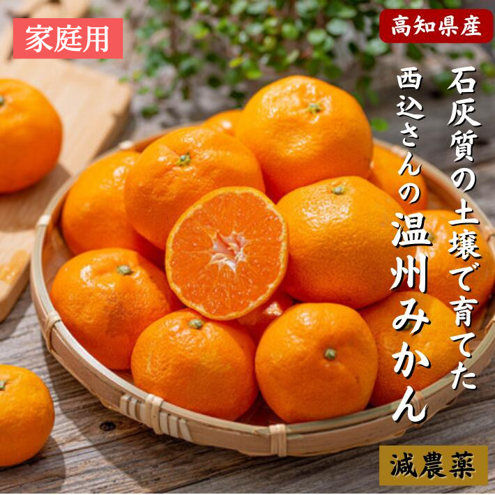 \11月発送予約/ 高知県産 減農薬 温州みかん 家庭用 サイズ各種