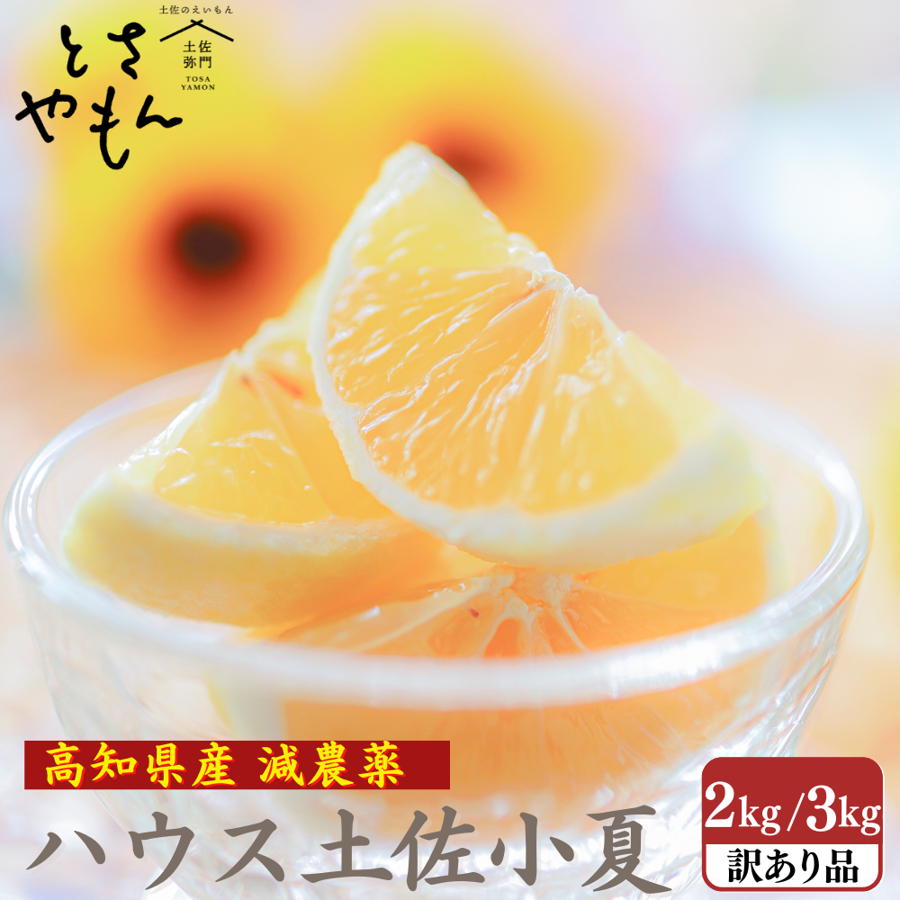 糖度14度 減農薬 ハウス土佐小夏 (2kg 3kg)訳あり品