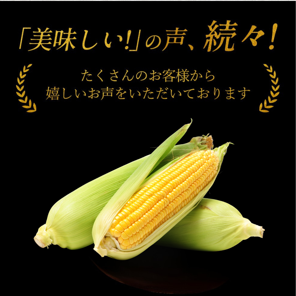 【6月上中旬発送予約】糖度18度 ゴールドラッシュ 生とうもろこし 約4,5kg (12~14本)