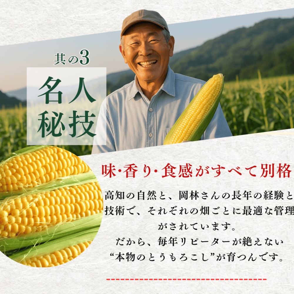 【6月上中旬発送予約】糖度18度 ゴールドラッシュ 生とうもろこし 約4,5kg (12~14本)