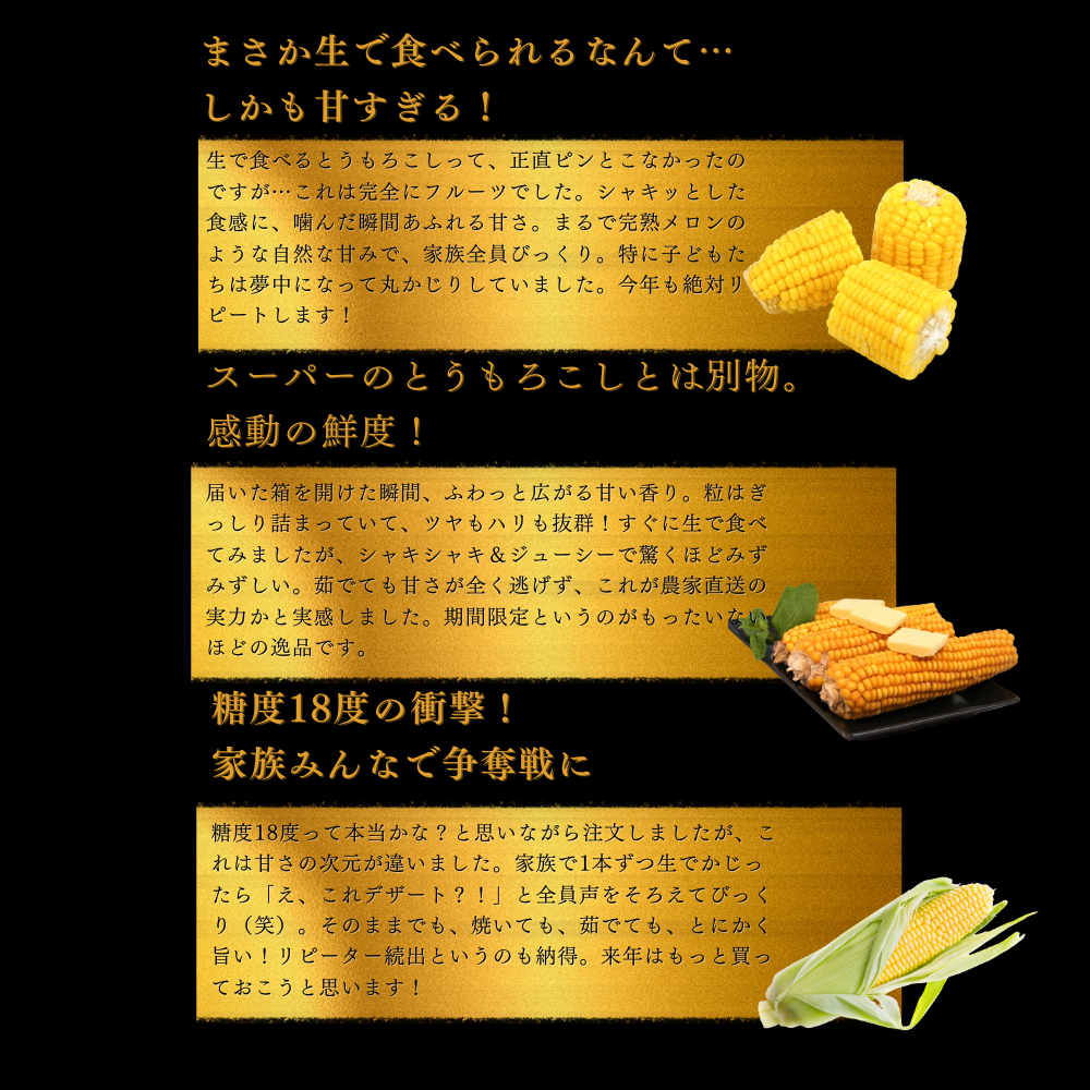 【6月上中旬発送予約】糖度18度 ゴールドラッシュ 生とうもろこし 約4,5kg (12~14本)
