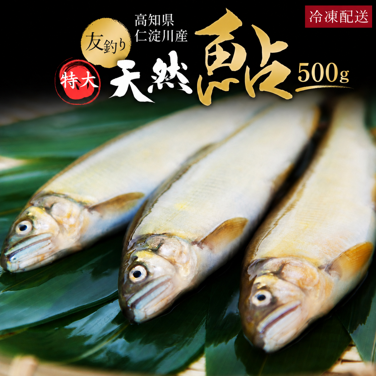 高知県仁淀川産 友釣り天然鮎 500g(特大サイズ) – 池澤鮮魚 高知県仁淀川産 友釣り天然鮎 500g(特大サイズ) – 池澤鮮魚