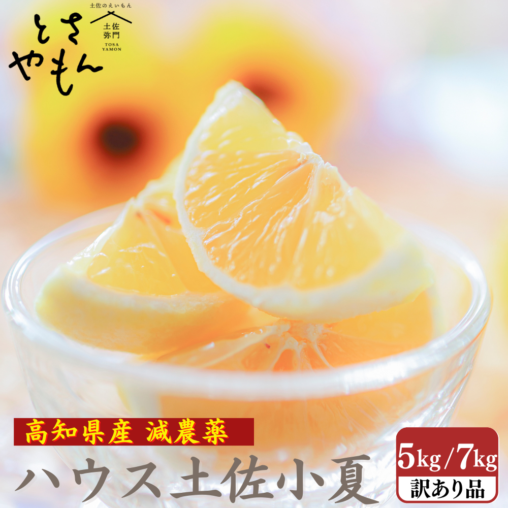 糖度14度 減農薬 ハウス土佐小夏 (5kg 7kg)訳あり品