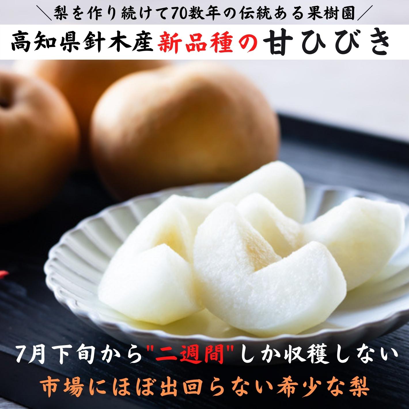 【今期完売】甘ひびき 梨 高知県針木産 産地直送品