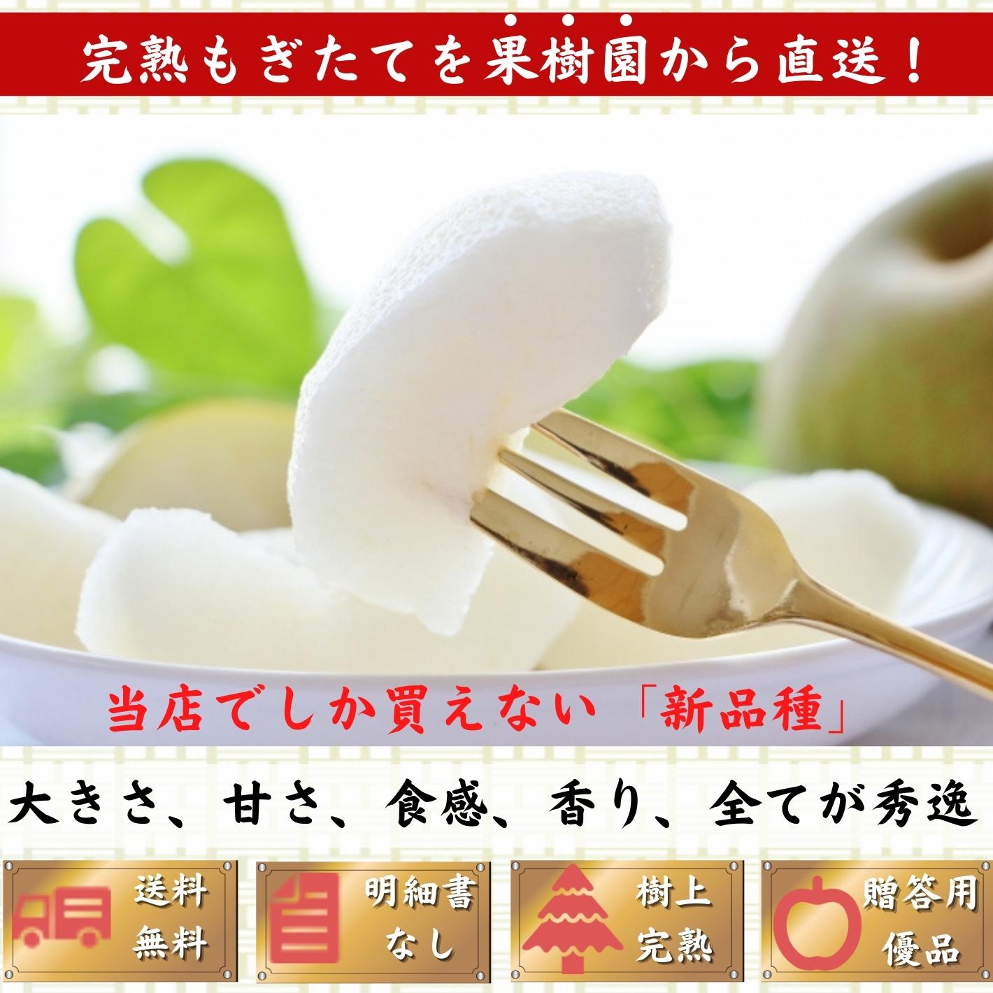 【今期完売】甘ひびき 梨 高知県針木産 産地直送品
