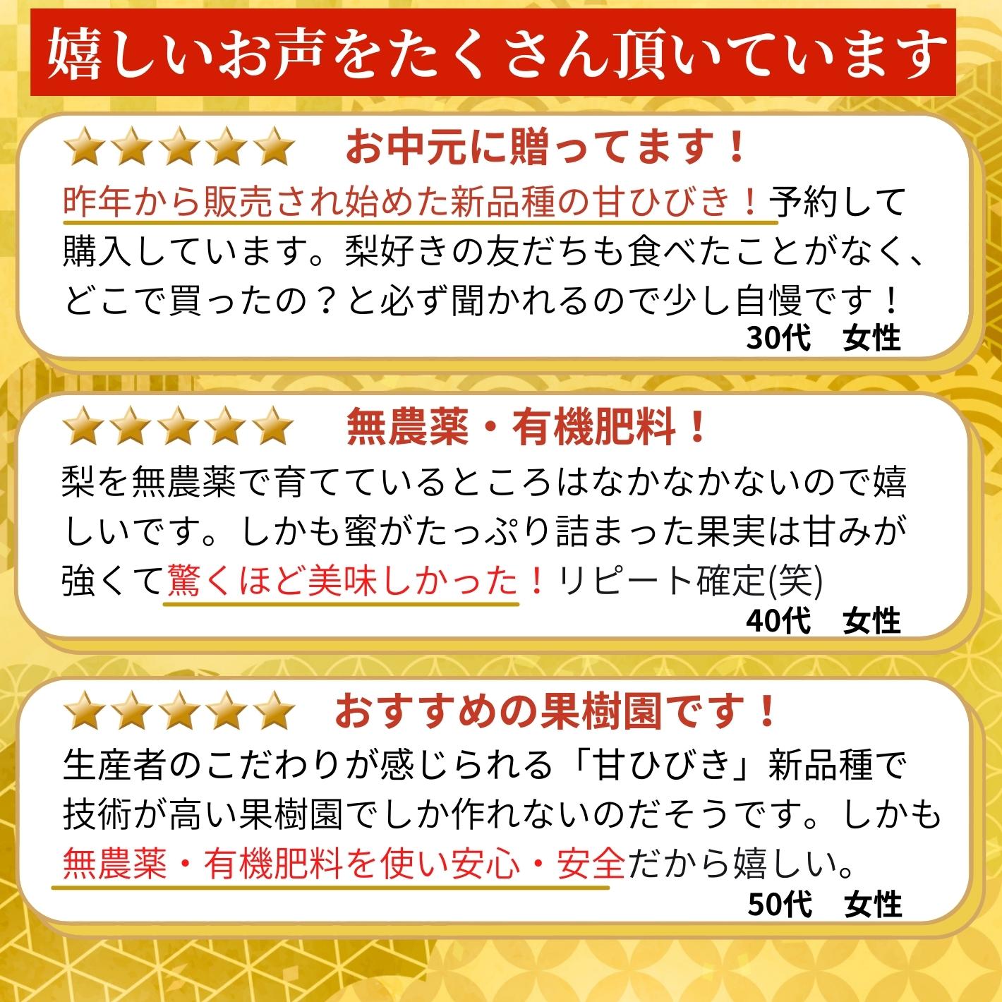 【今期完売】甘ひびき 梨 高知県針木産 産地直送品