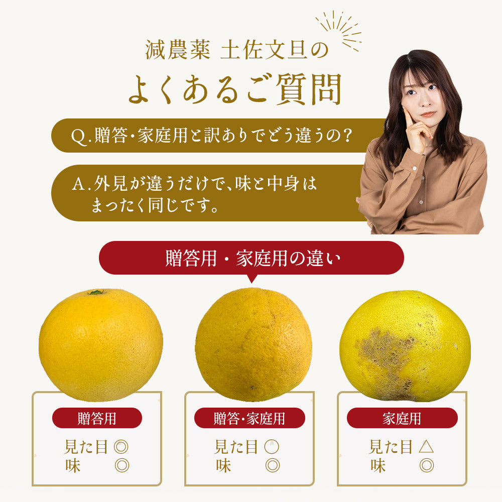 小松さんの減農薬 土佐文旦 約5kg 家庭用 訳あり