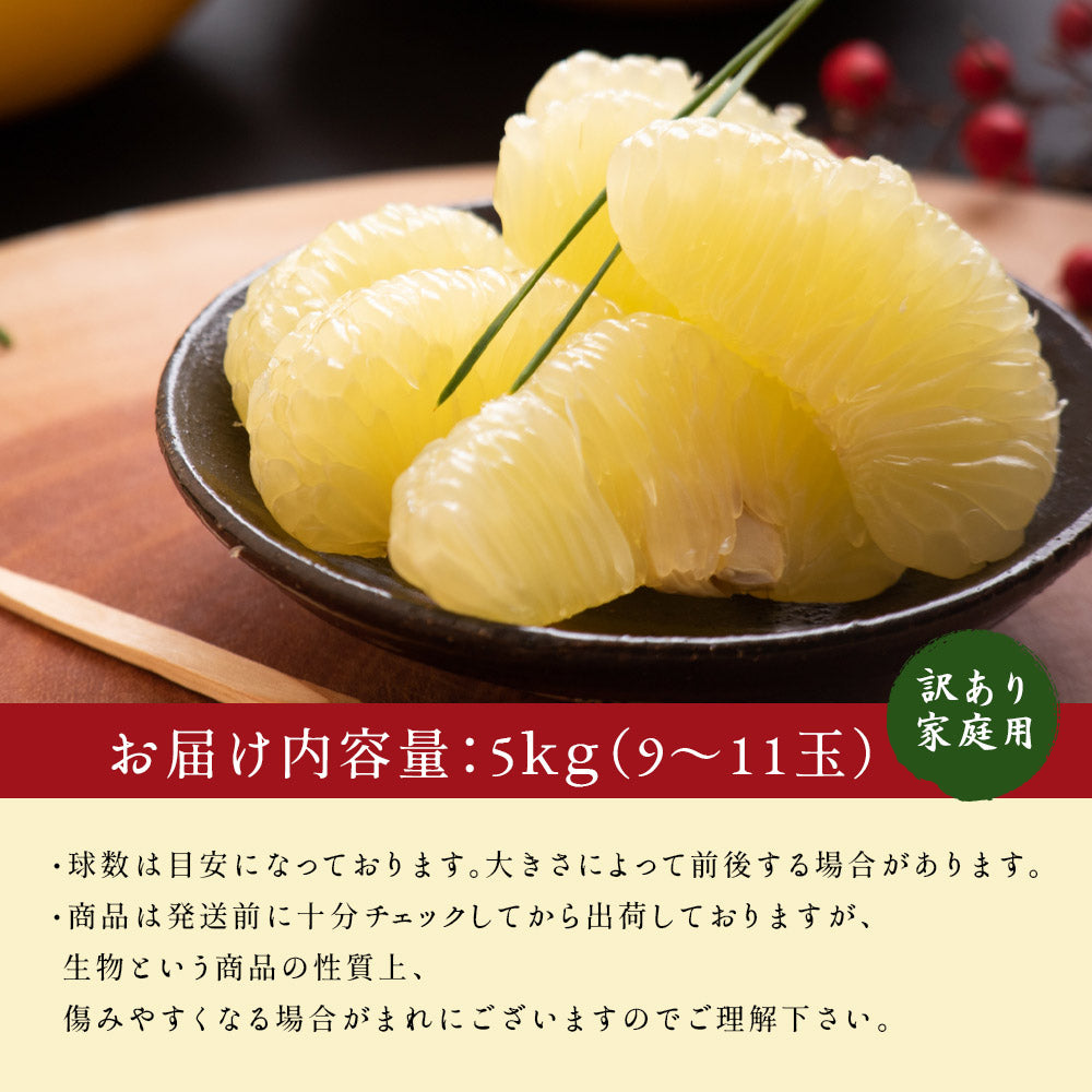 小松さんの減農薬 土佐文旦 約5kg 家庭用 訳あり