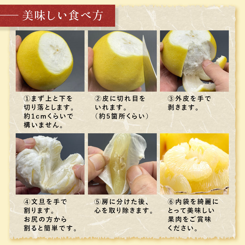 小松さんの減農薬 土佐文旦 約5kg 家庭用 訳あり