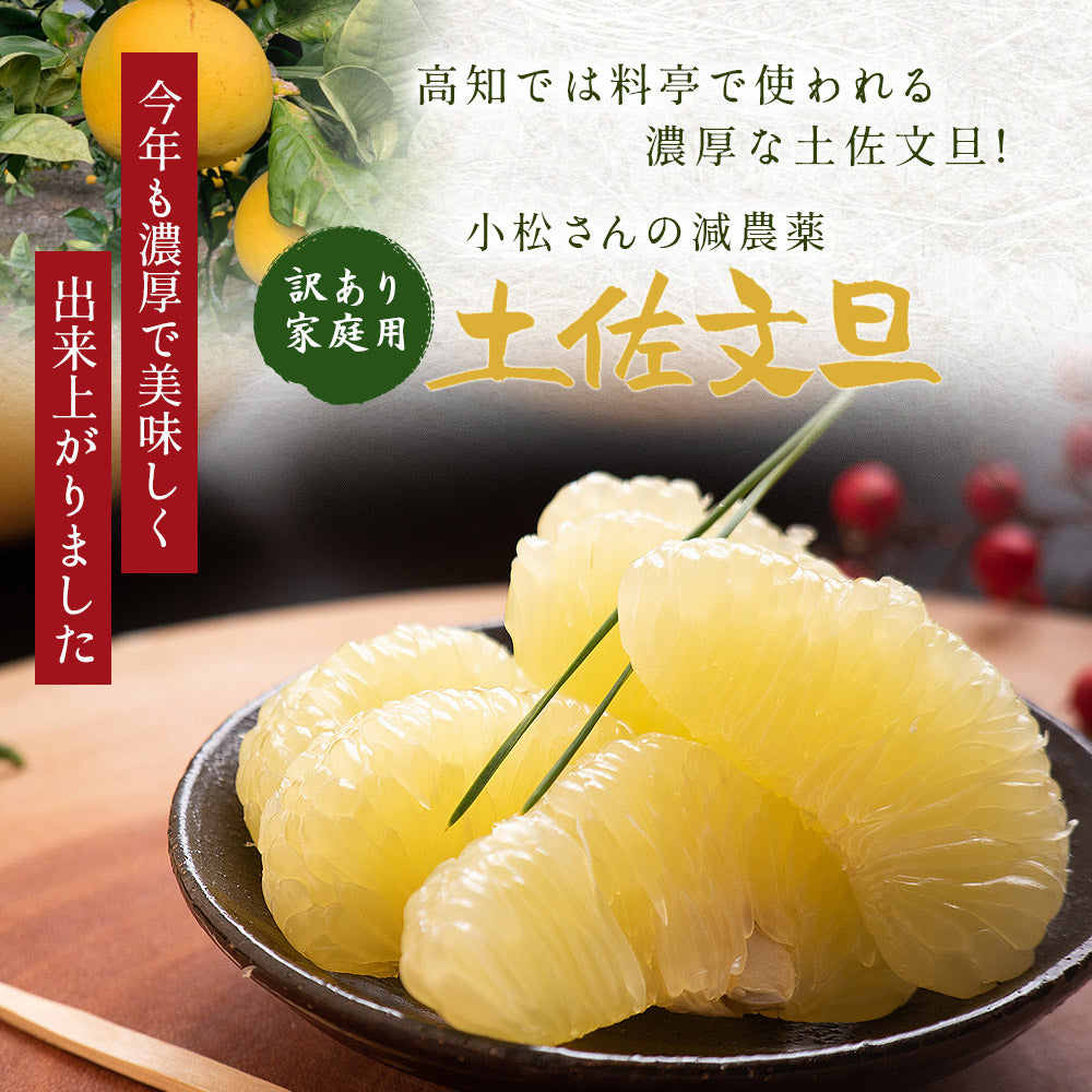 小松さんの減農薬 土佐文旦 約5kg 家庭用 訳あり