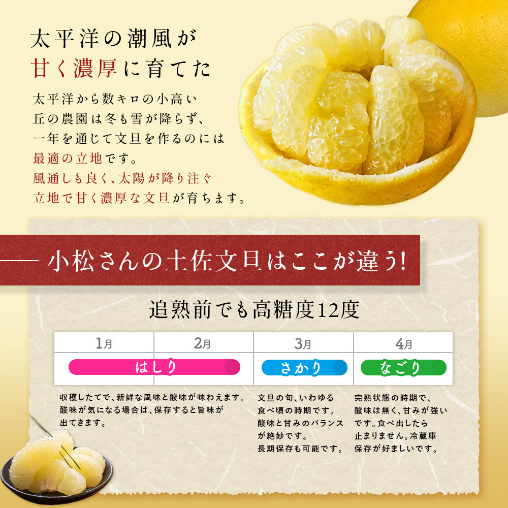 小松さんの減農薬 土佐文旦 約5kg 家庭用 訳あり