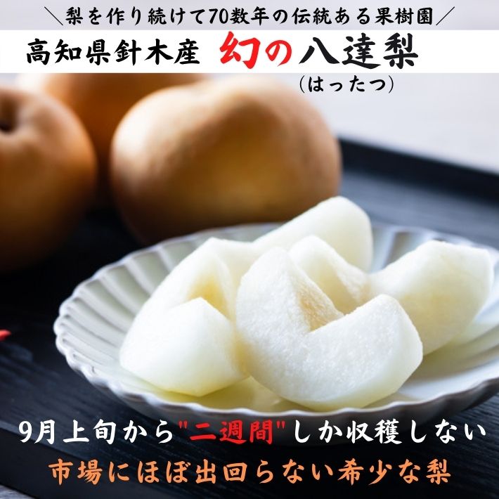 \8月下旬発送予約/ 幻の梨 八達梨 高知県針木産 産地直送品