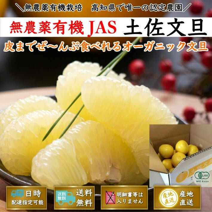無農薬 有機JAS認定 土佐文旦 有機栽培 訳あり 高知県産 2L-L