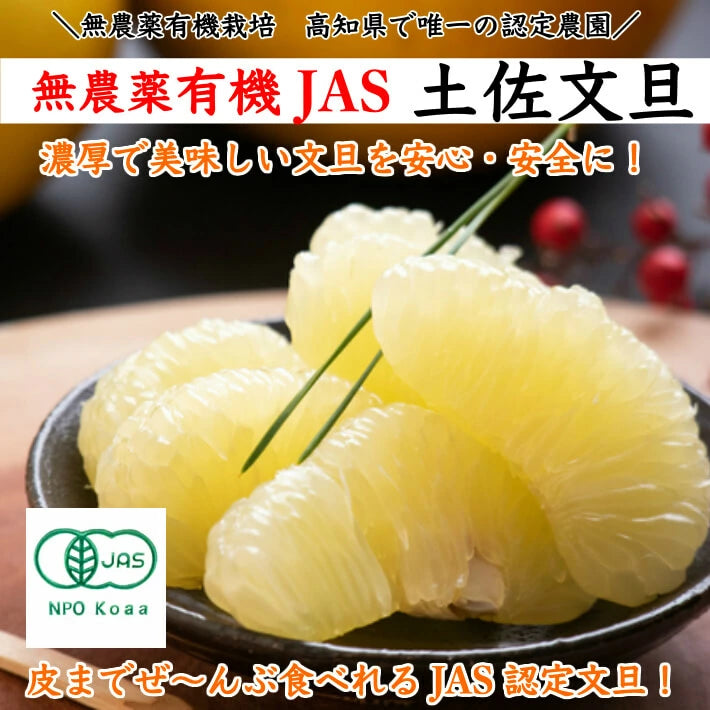 無農薬 有機JAS認定 土佐文旦 有機栽培 訳あり 高知県産 2L-L