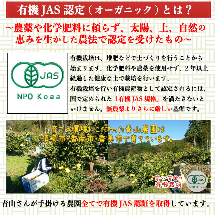 無農薬 有機JAS認定 土佐文旦 有機栽培 訳あり 高知県産 2L-L