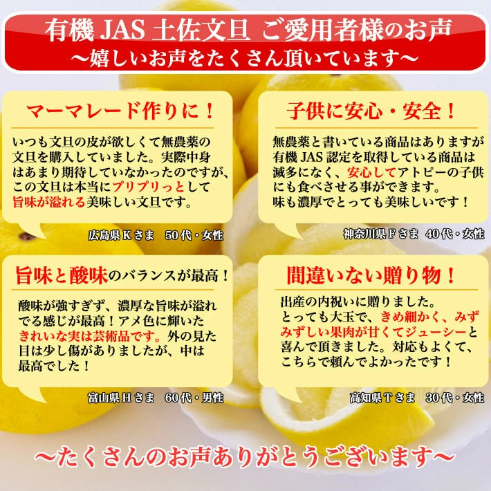 無農薬 有機JAS認定 土佐文旦 有機栽培 訳あり 高知県産 2L-L