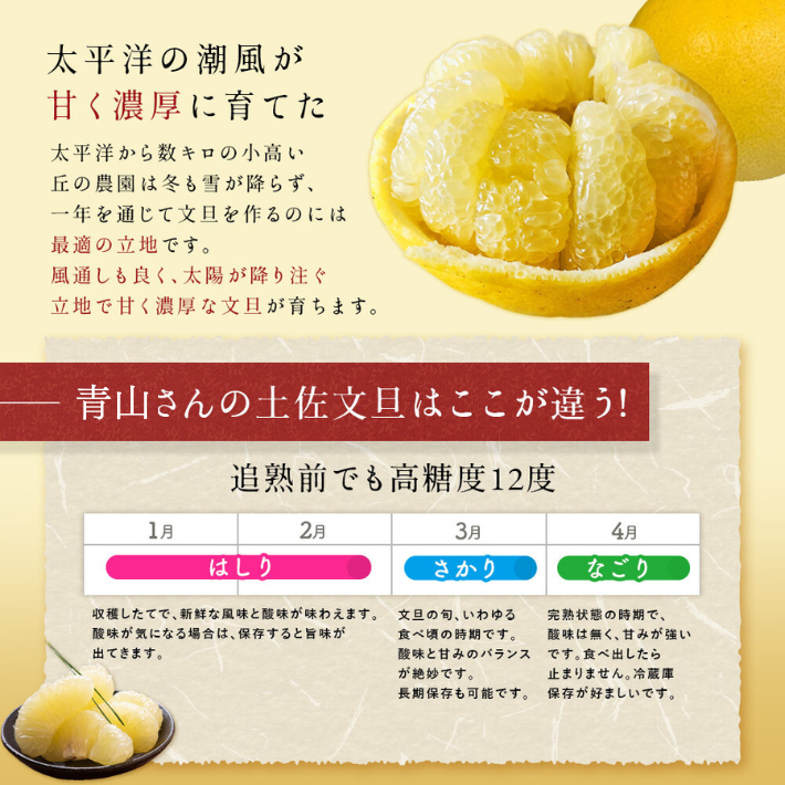 無農薬 有機JAS認定 土佐文旦 有機栽培 訳あり 高知県産 2L-L