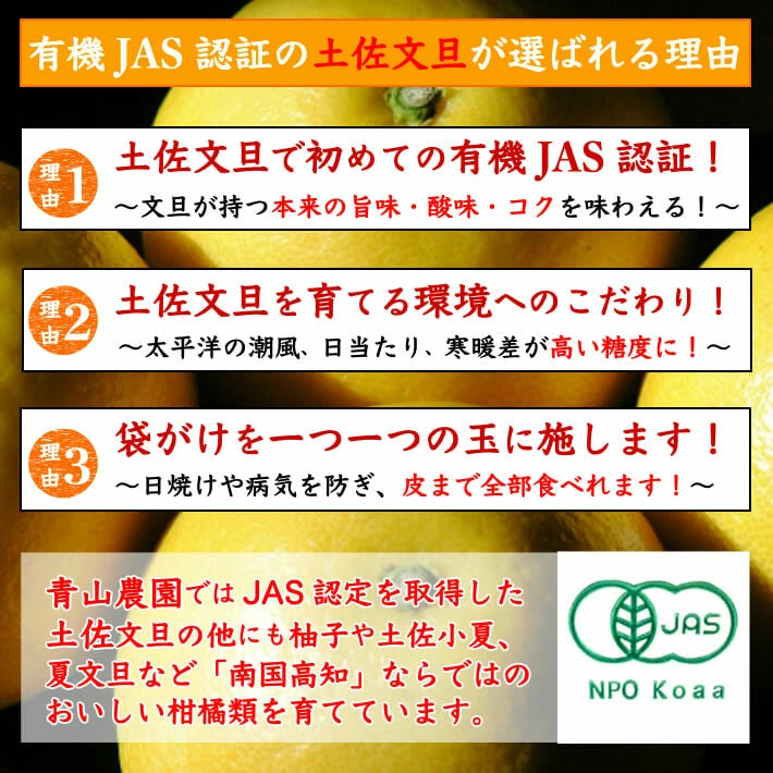 無農薬 有機JAS認定 土佐文旦 有機栽培 訳あり 高知県産 2L-L