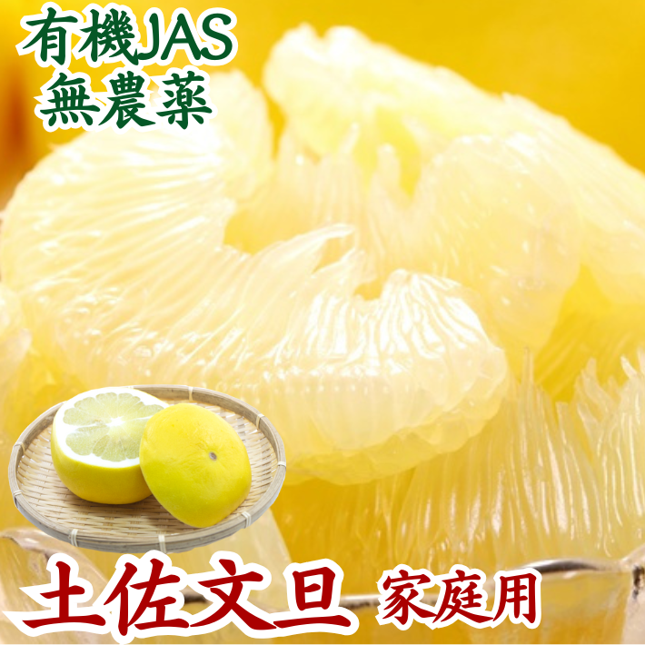 無農薬 有機JAS認定 土佐文旦 有機栽培 訳あり 高知県産 2L-L