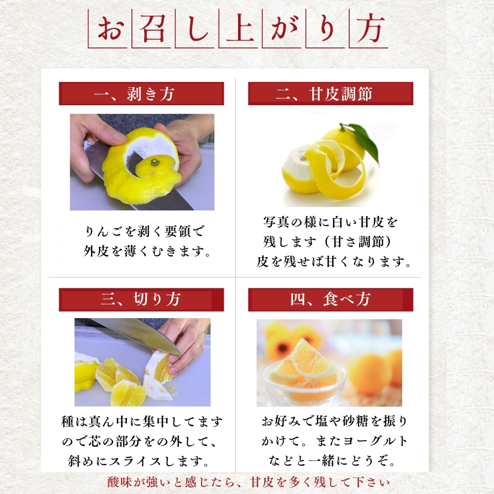 糖度14度 減農薬 ハウス土佐小夏 (5kg 7kg)訳あり品
