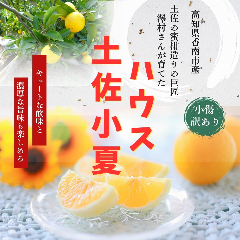糖度14度 減農薬 ハウス土佐小夏 (5kg 7kg)訳あり品