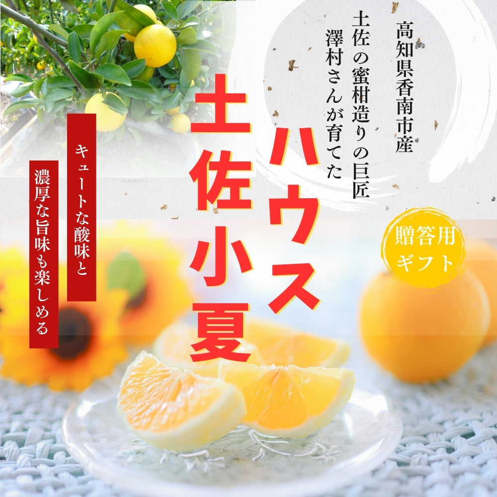 糖度14度 減農薬 ハウス土佐小夏 (4kg 7kg)ギフト用