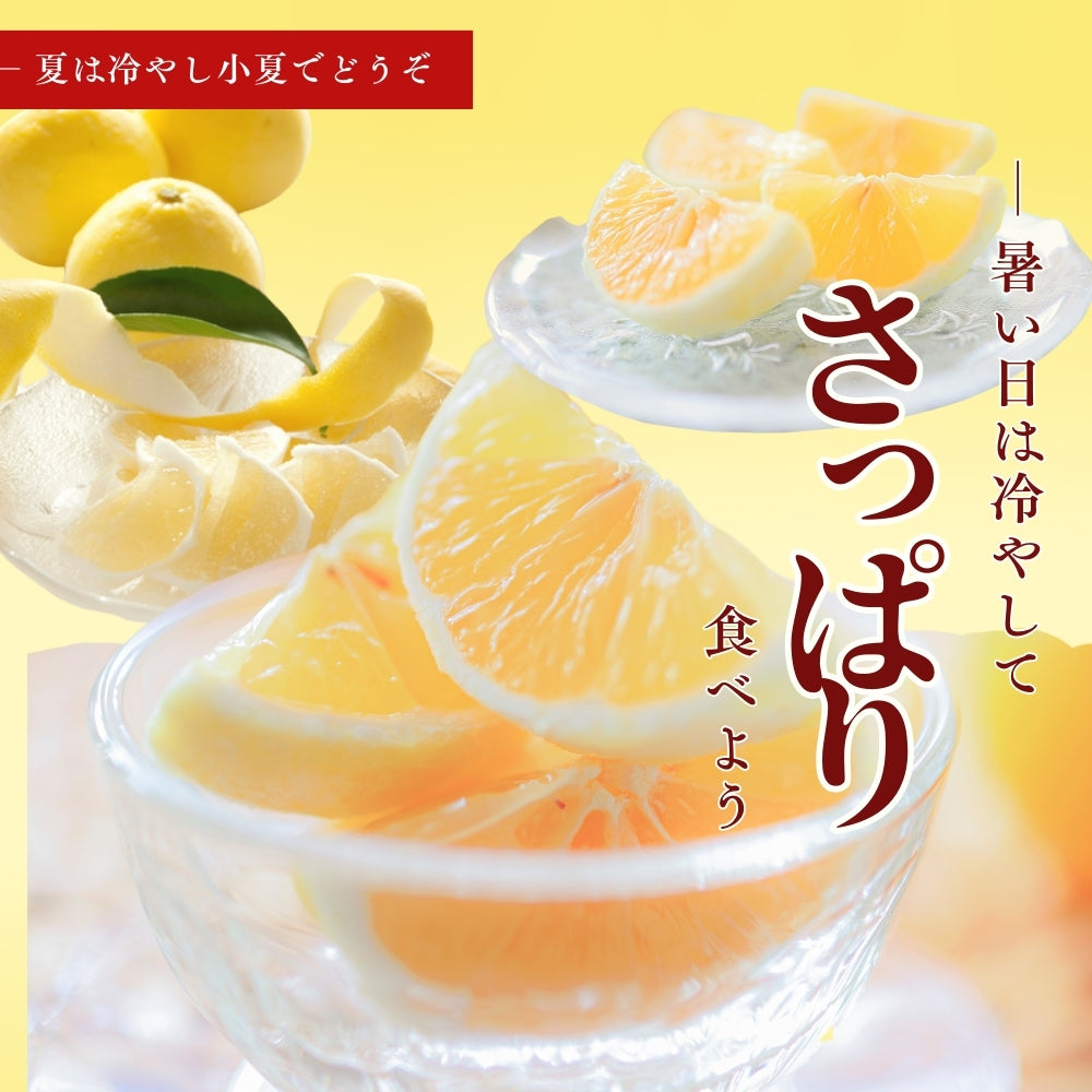 糖度14度 減農薬 ハウス土佐小夏 (5kg 7kg)訳あり品