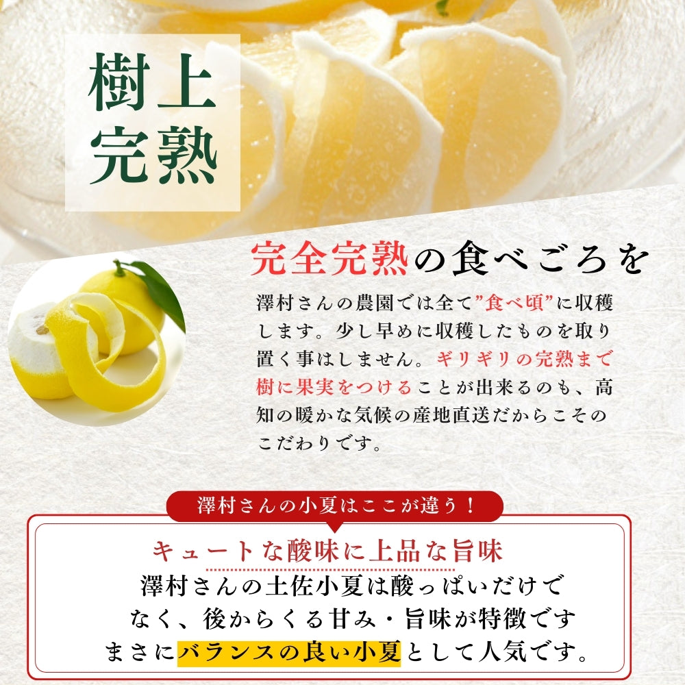 糖度14度 減農薬 ハウス土佐小夏 (5kg 7kg)訳あり品