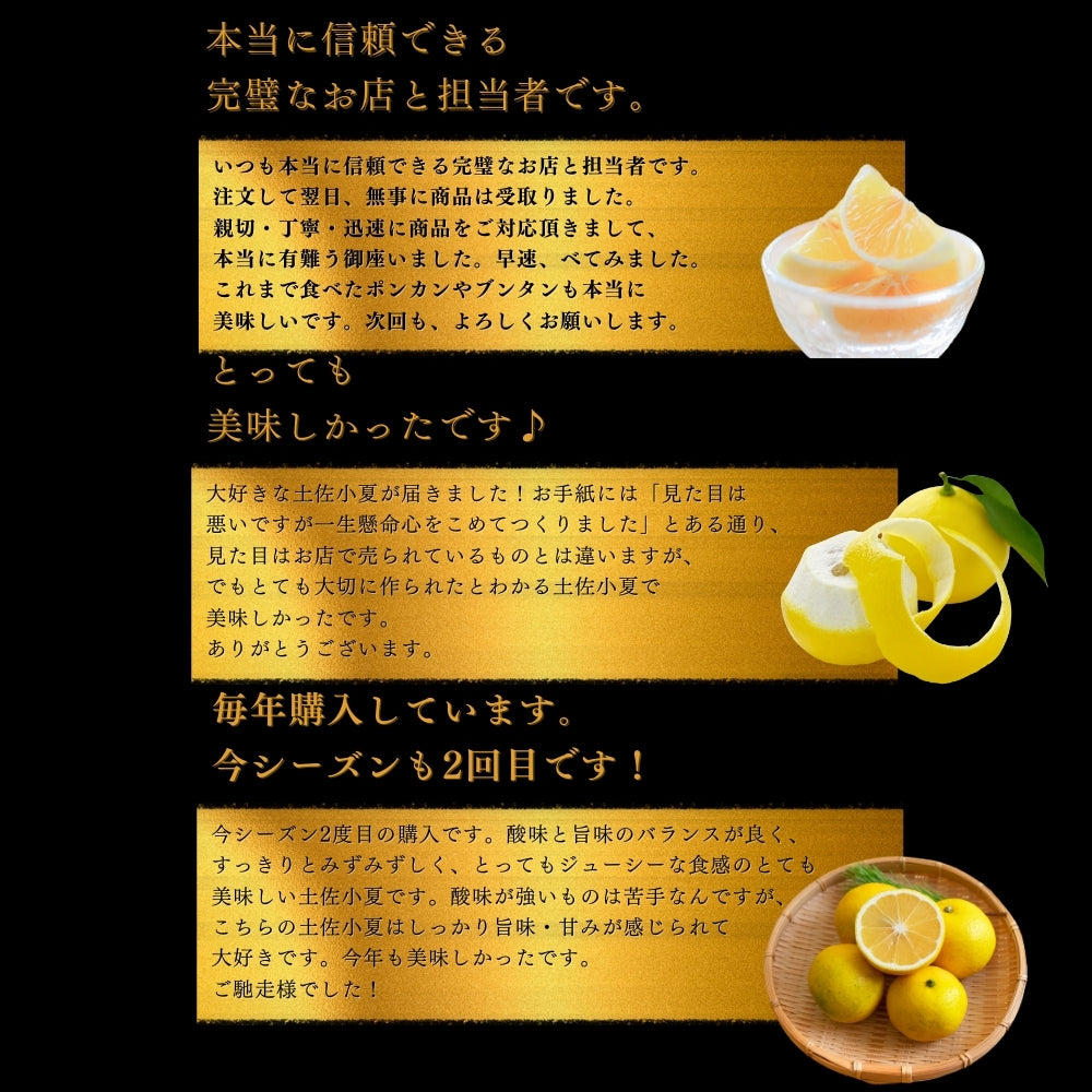 糖度14度 減農薬 ハウス土佐小夏 (5kg 7kg)訳あり品