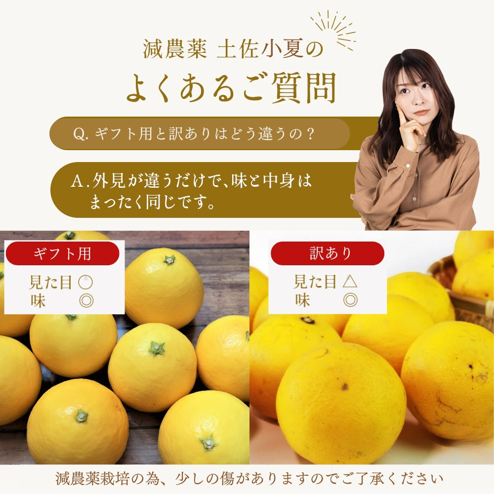 糖度14度 減農薬 ハウス土佐小夏 (5kg 7kg)訳あり品