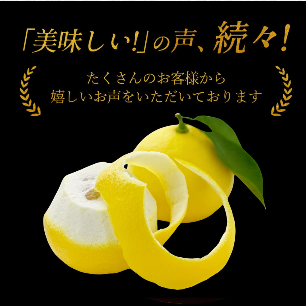 糖度14度 減農薬 ハウス土佐小夏 (5kg 7kg)訳あり品