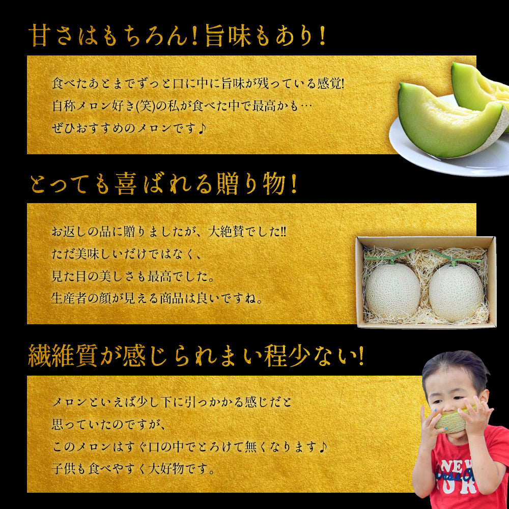 【特選】IRODORI 近澤さんの最高級緑肉メロン 1玉