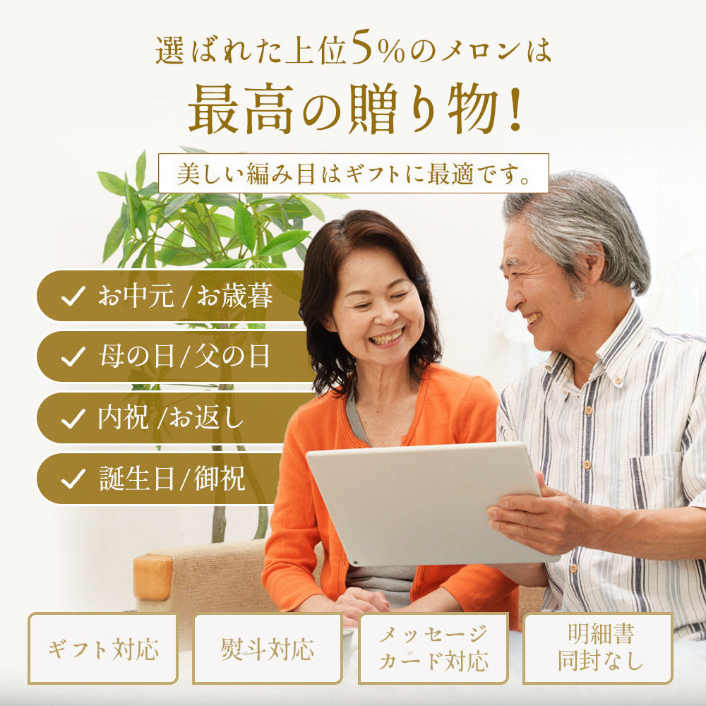 【特選】IRODORI 近澤さんの最高級緑肉メロン 1玉