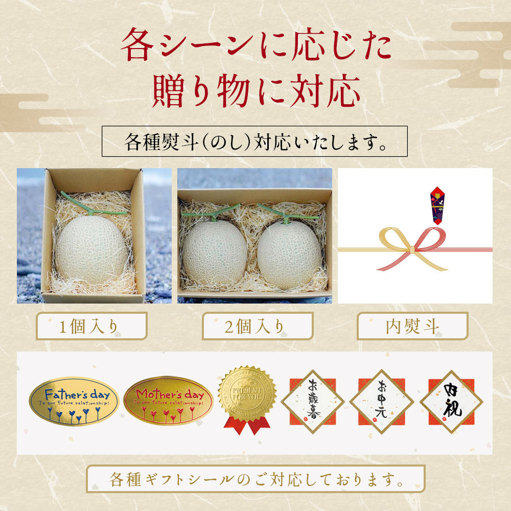 【11月下旬発送予約】メロン 近澤さんのとろけるマスクメロン 1玉 高知県産 ギフト