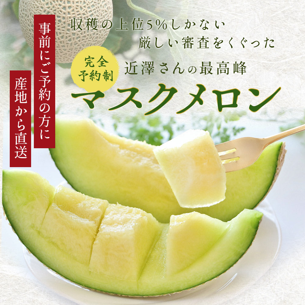 【特選】IRODORI 近澤さんの最高級緑肉メロン 1玉