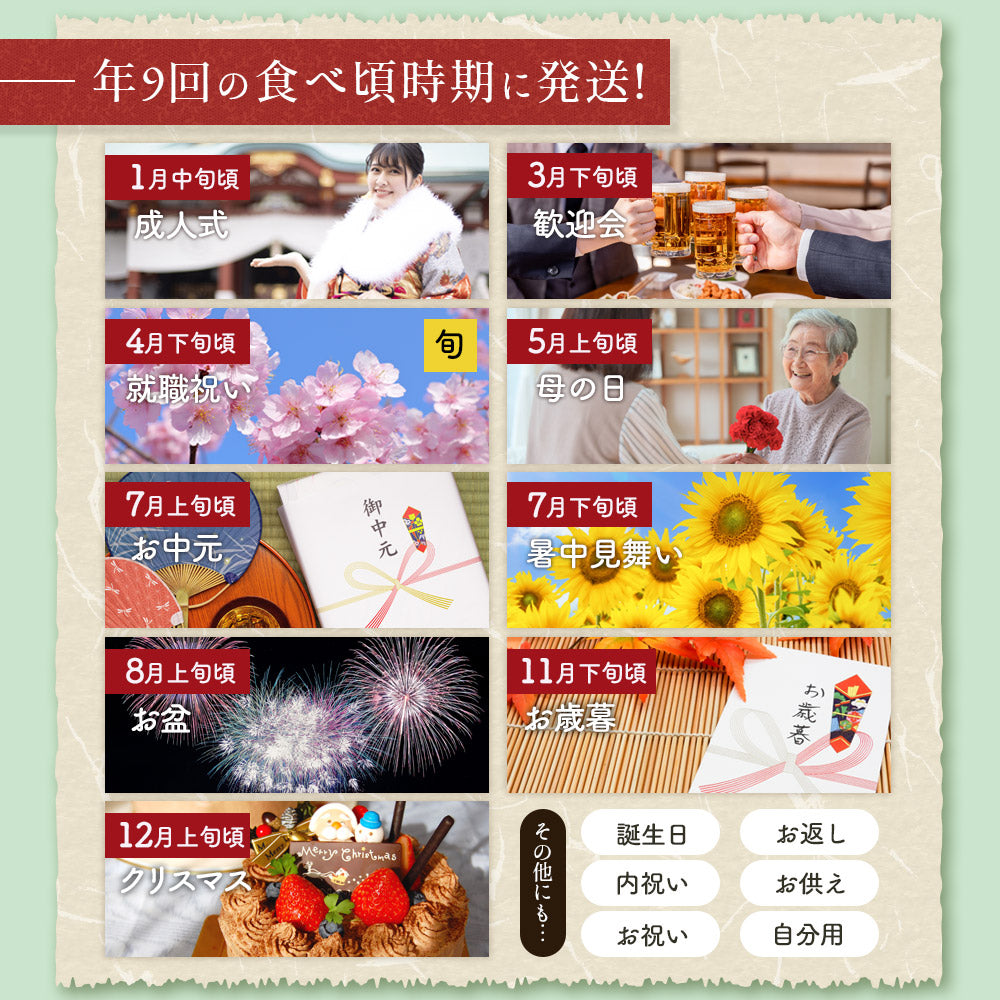 【11月下旬発送予約】メロン 近澤さんのとろけるマスクメロン 1玉 高知県産 ギフト