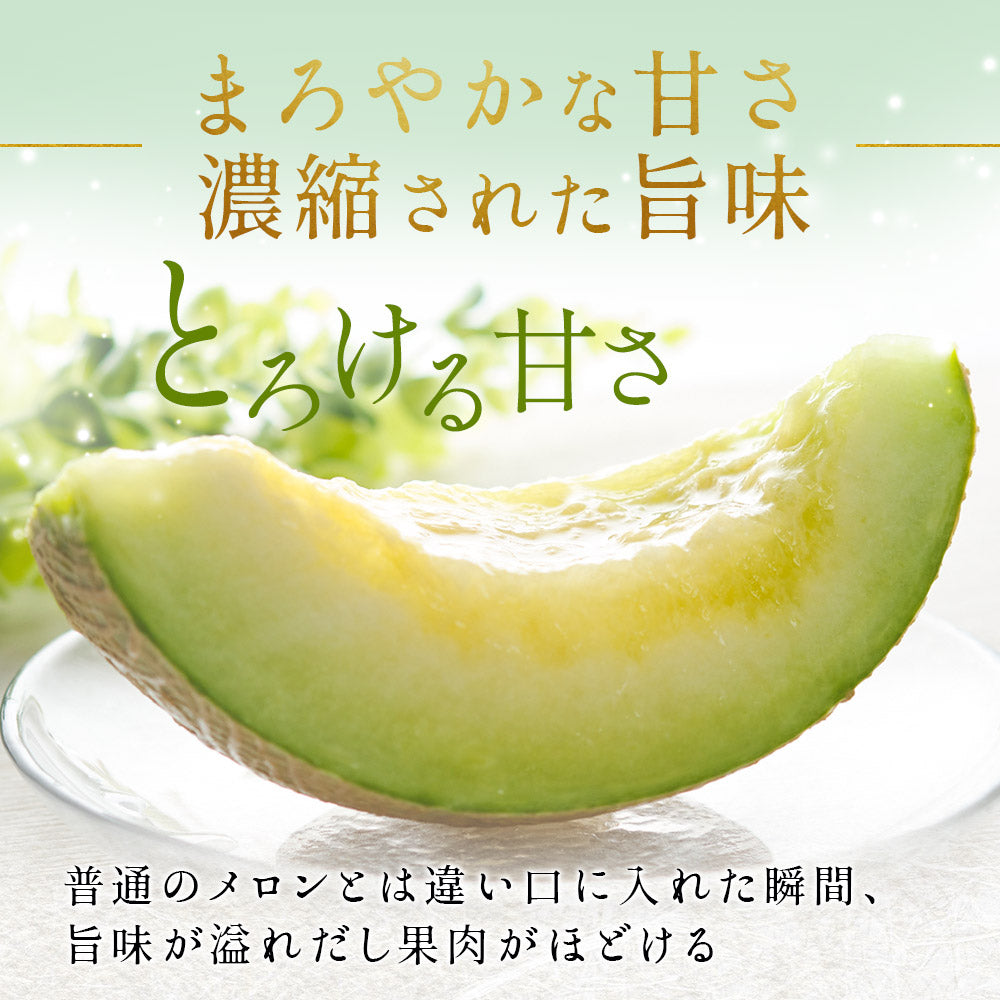【特選】IRODORI 近澤さんの最高級緑肉メロン 1玉