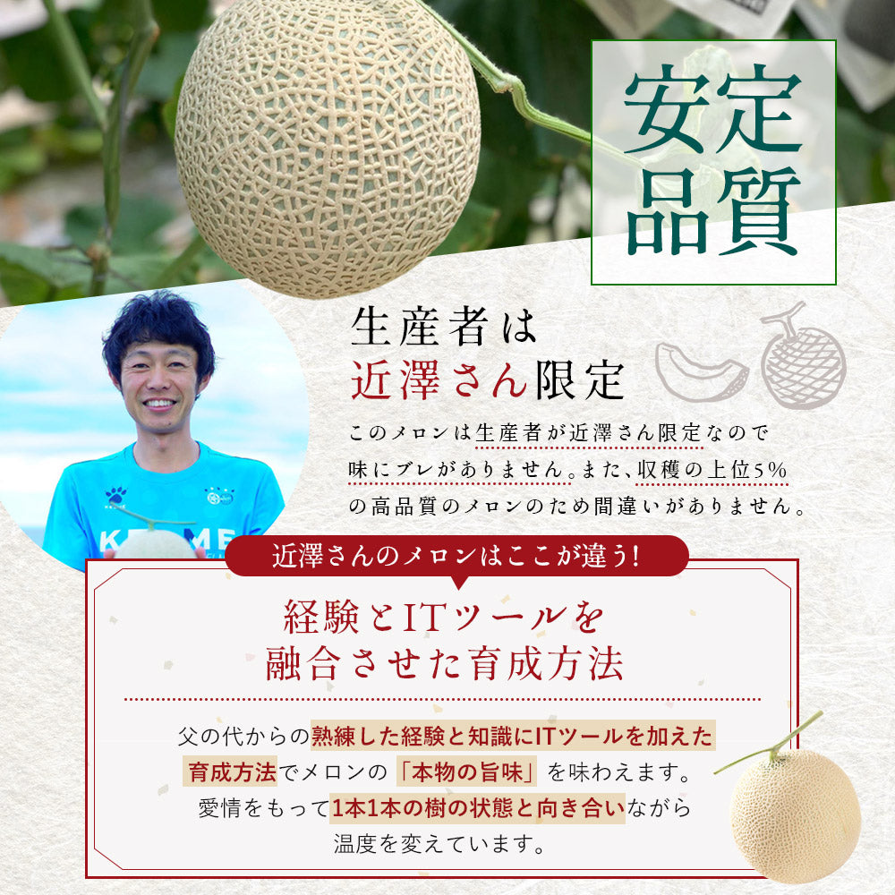 【特選】IRODORI 近澤さんの最高級緑肉メロン 1玉