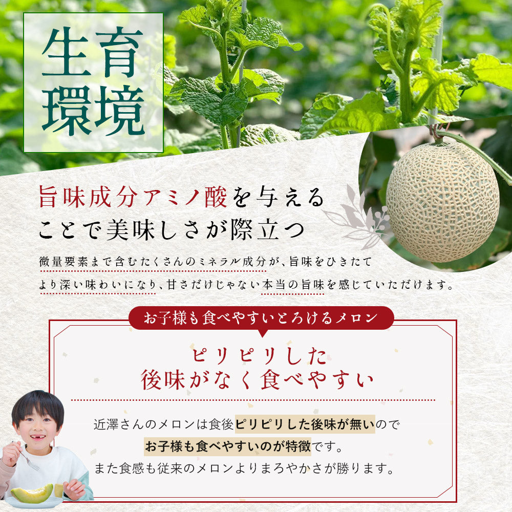【特選】IRODORI 近澤さんの最高級緑肉メロン 1玉
