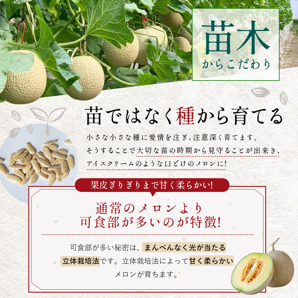 【特選】IRODORI 近澤さんの最高級緑肉メロン 1玉