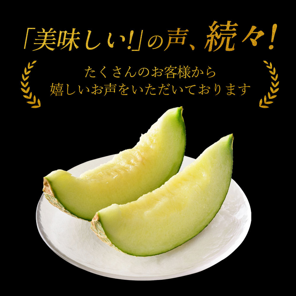 【特選】IRODORI 近澤さんの最高級緑肉メロン 1玉