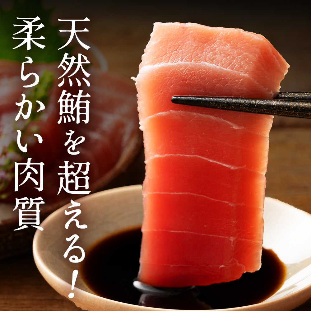 高知県産 一極 本まぐろ 中トロ 赤身 食べ比べセット