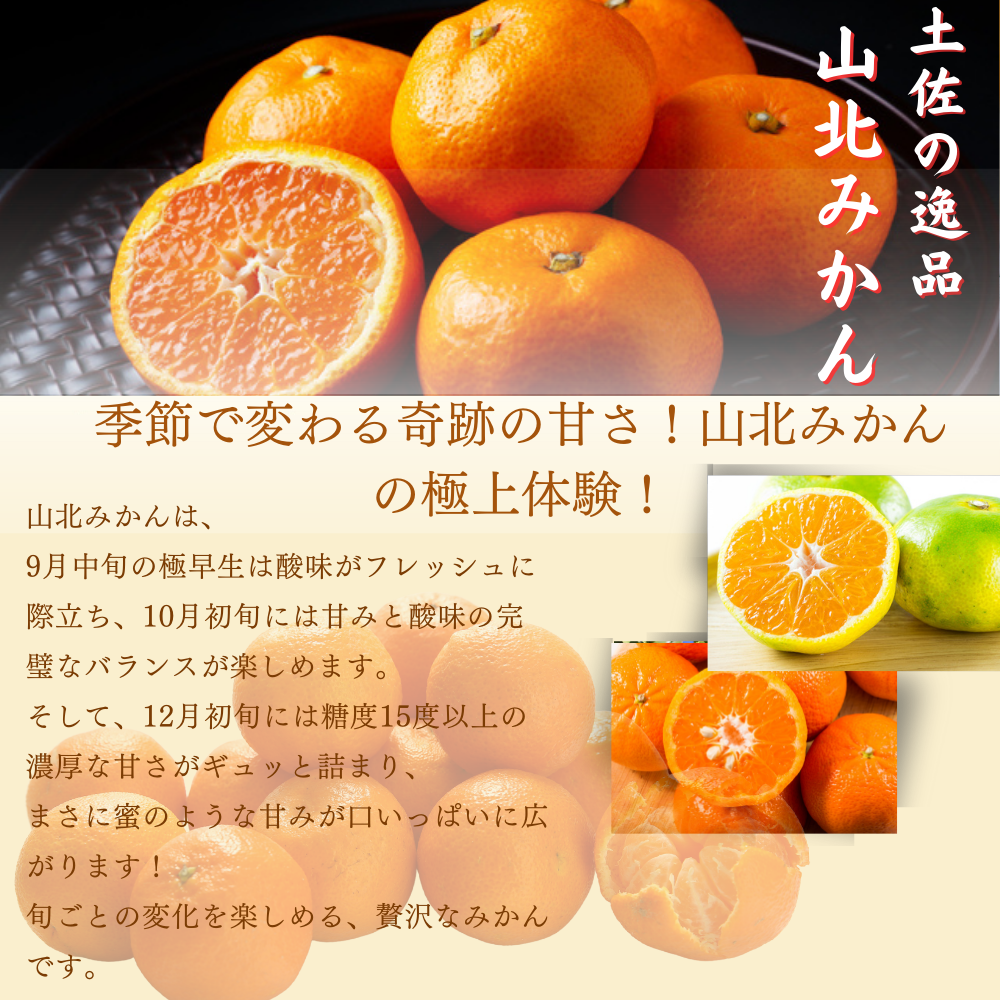 \11月発送予約/ 山北みかん 減農薬 優品 サイズ混合